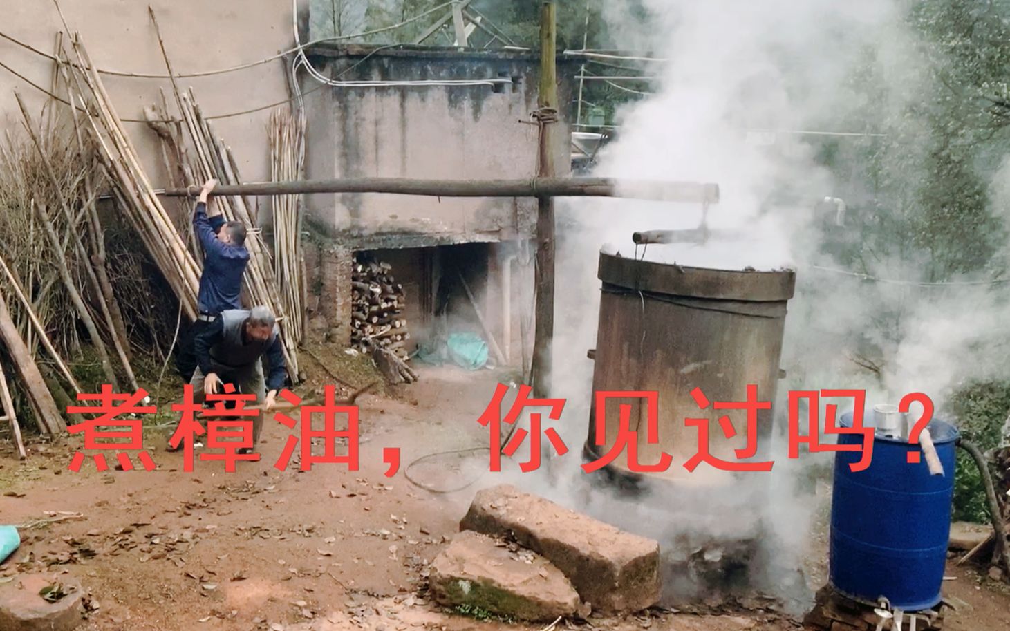 香樟油的功效与作用(香樟油的功效与作用,让你健康无忧)
