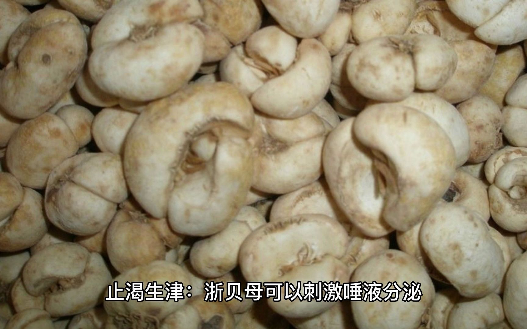渐贝母的功效与作用(渐贝母的功效与作用,了解一下)