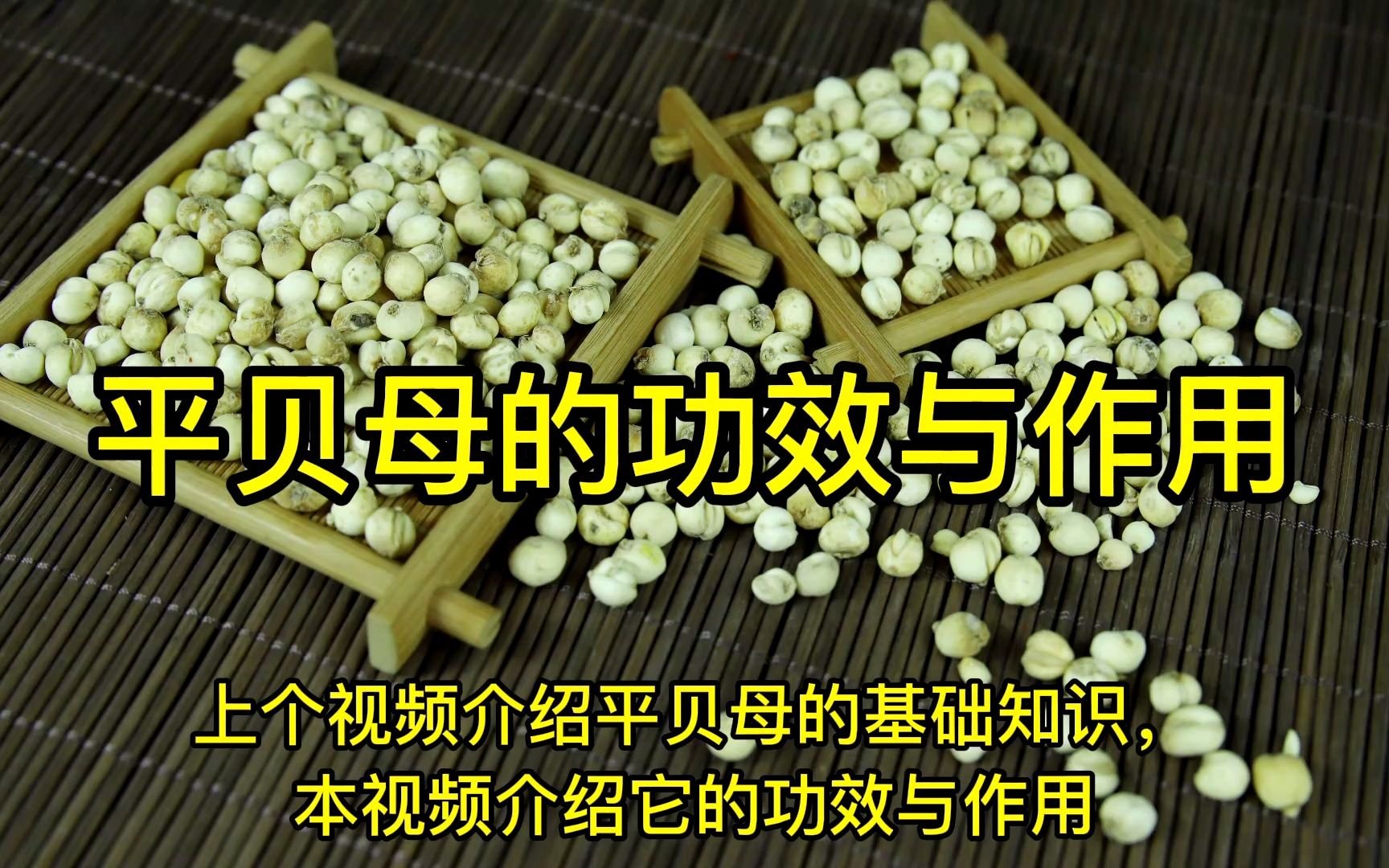 渐贝母的功效与作用(渐贝母的功效与作用,了解一下)