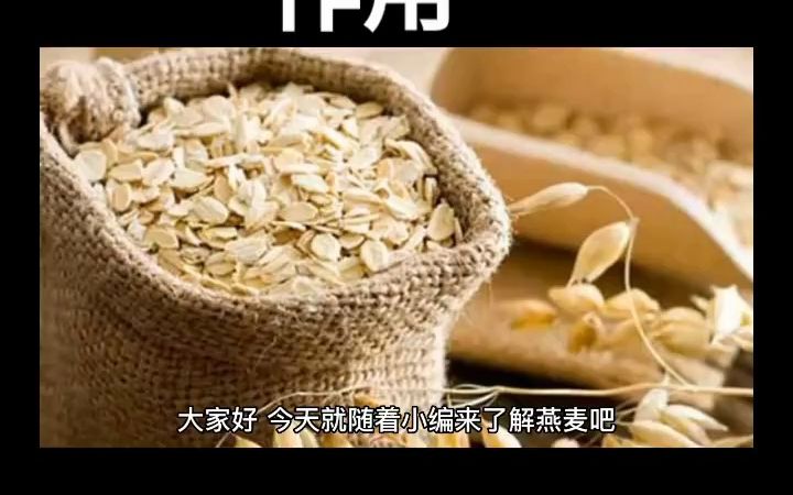 燕麦芽的功效与作用(燕麦芽的功效与作用，了解一下)
