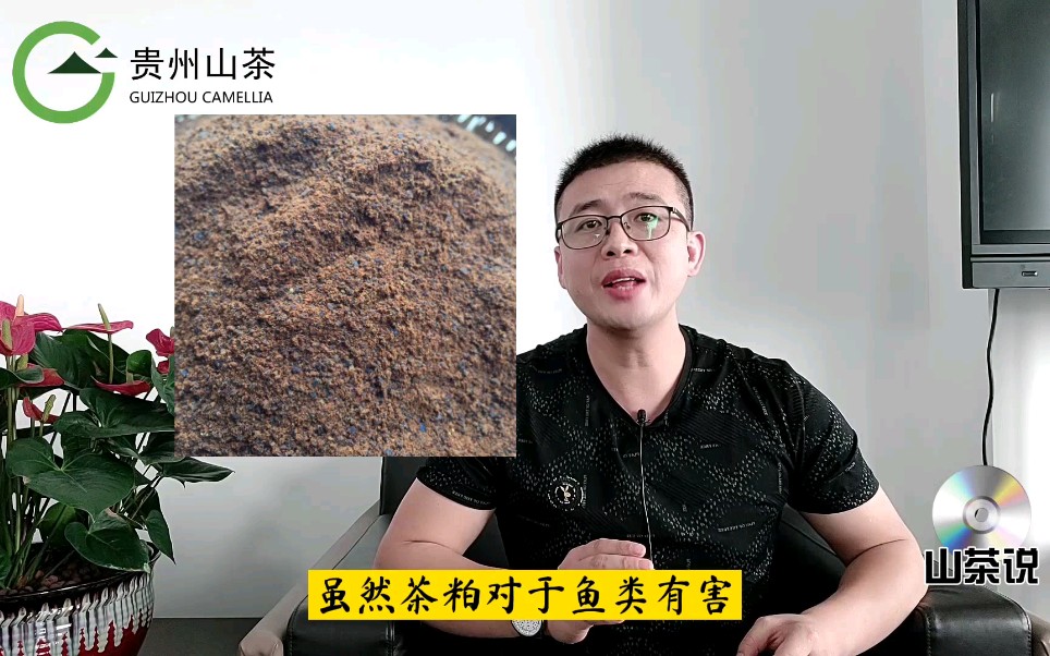 油茶果的功效与作用(油茶果的功效与作用：美容养颜、抗氧化、降血脂) ...