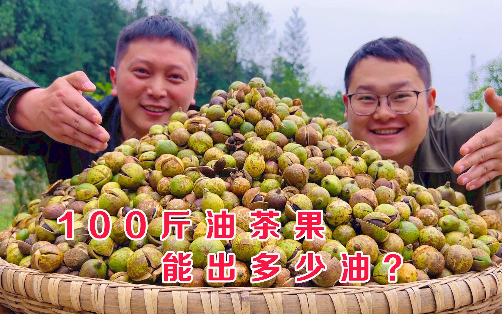 油茶果的功效与作用(油茶果的功效与作用：美容养颜、抗氧化、降血脂) ...