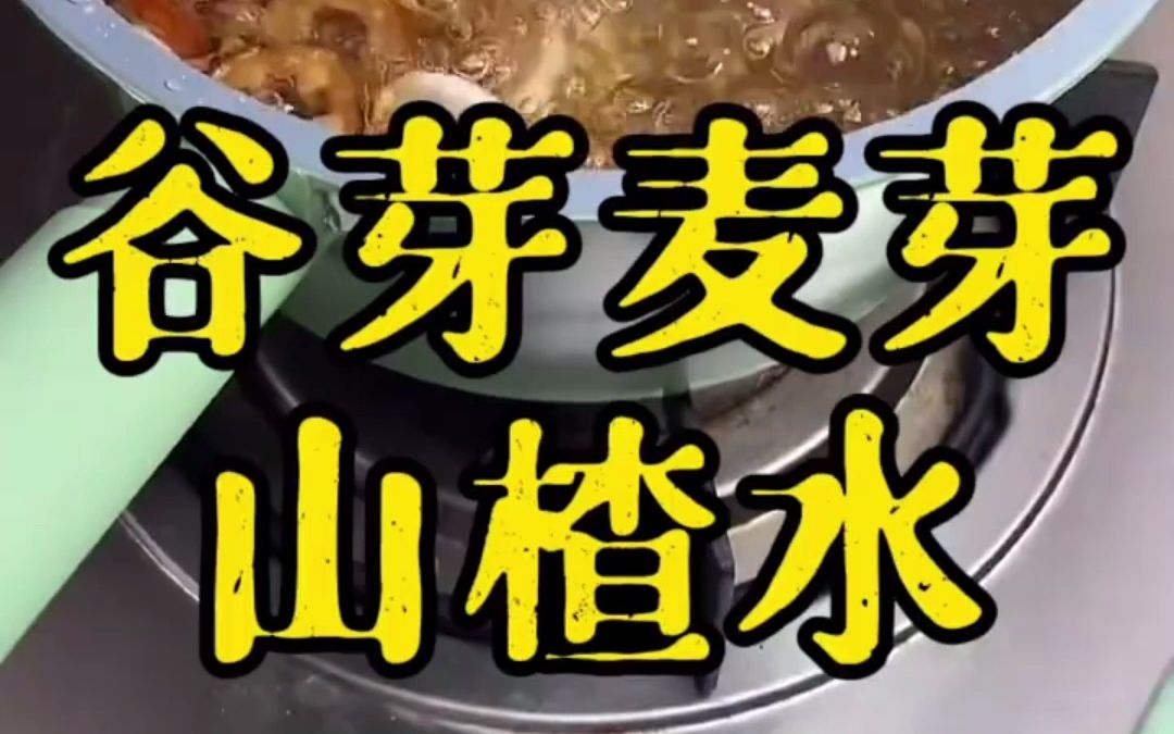 山楂麦芽谷芽水的功效(山楂麦芽谷芽水：健脾开胃，降血脂，美容养颜) ...