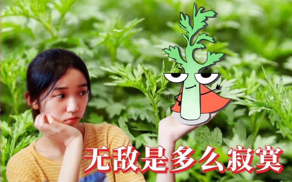 艾草汤的功效与作用(艾草汤：祛湿排毒，缓解疼痛)