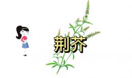 防风荆芥同入药的功效(防风荆芥：祛风散寒、通窍开郁的良药) ...