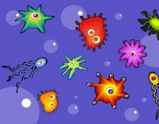 抑制细菌是什么意思 - 什么是抑菌和杀菌