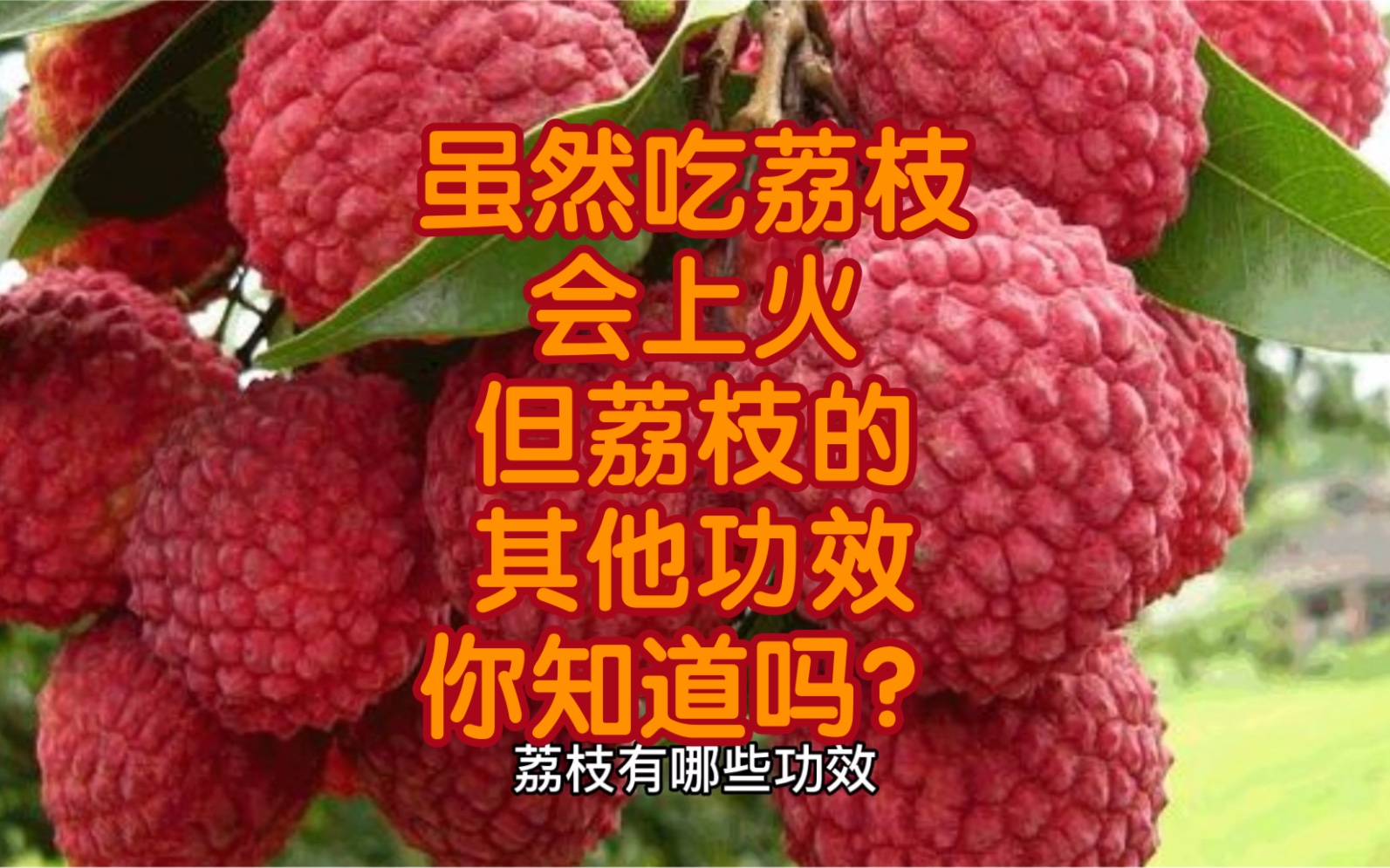 煮荔枝汤放什么功效(荔枝汤配方及功效)