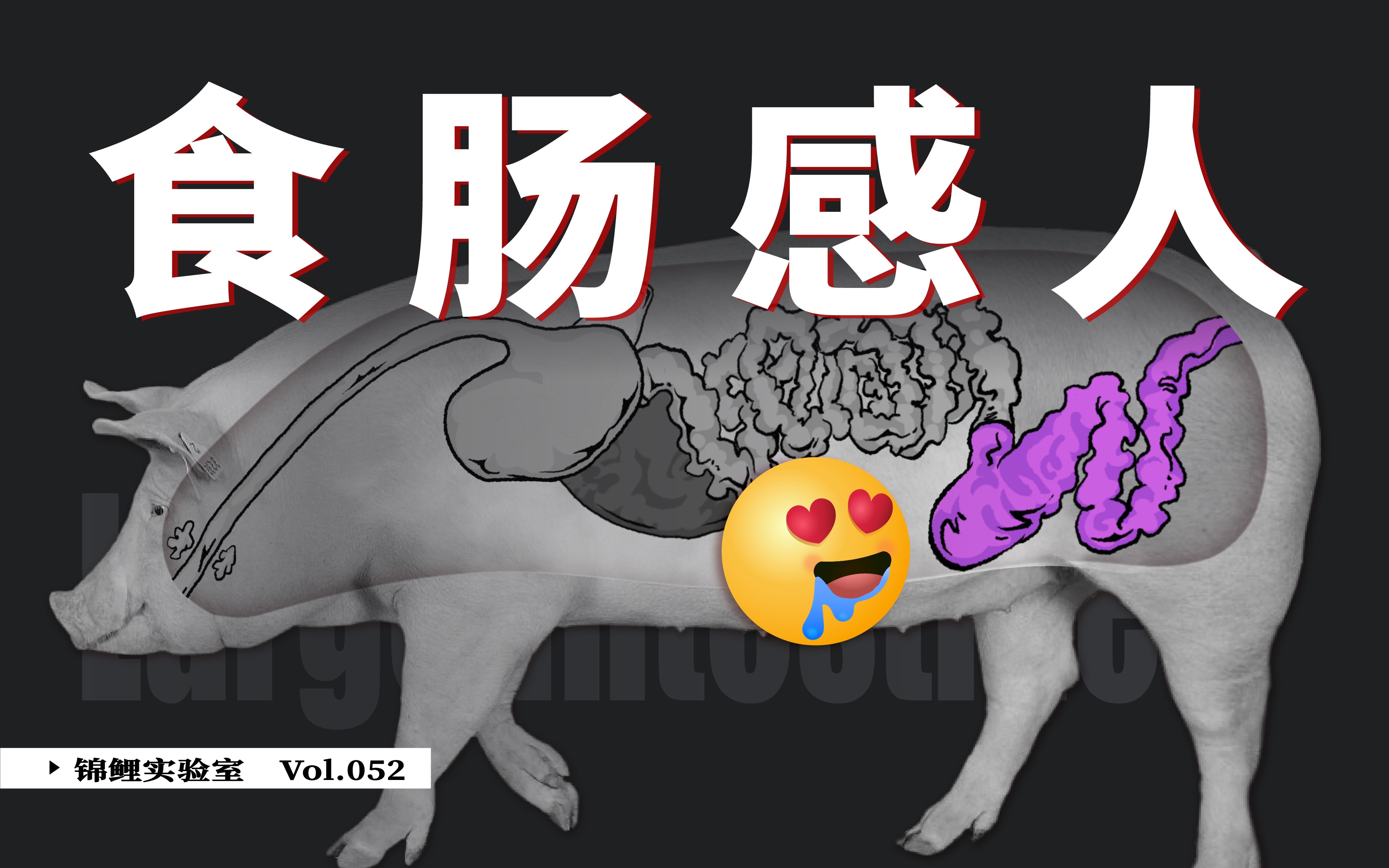 猪大肠的功效与作用(猪大肠的功效与作用：促进消化，补充营养) ...