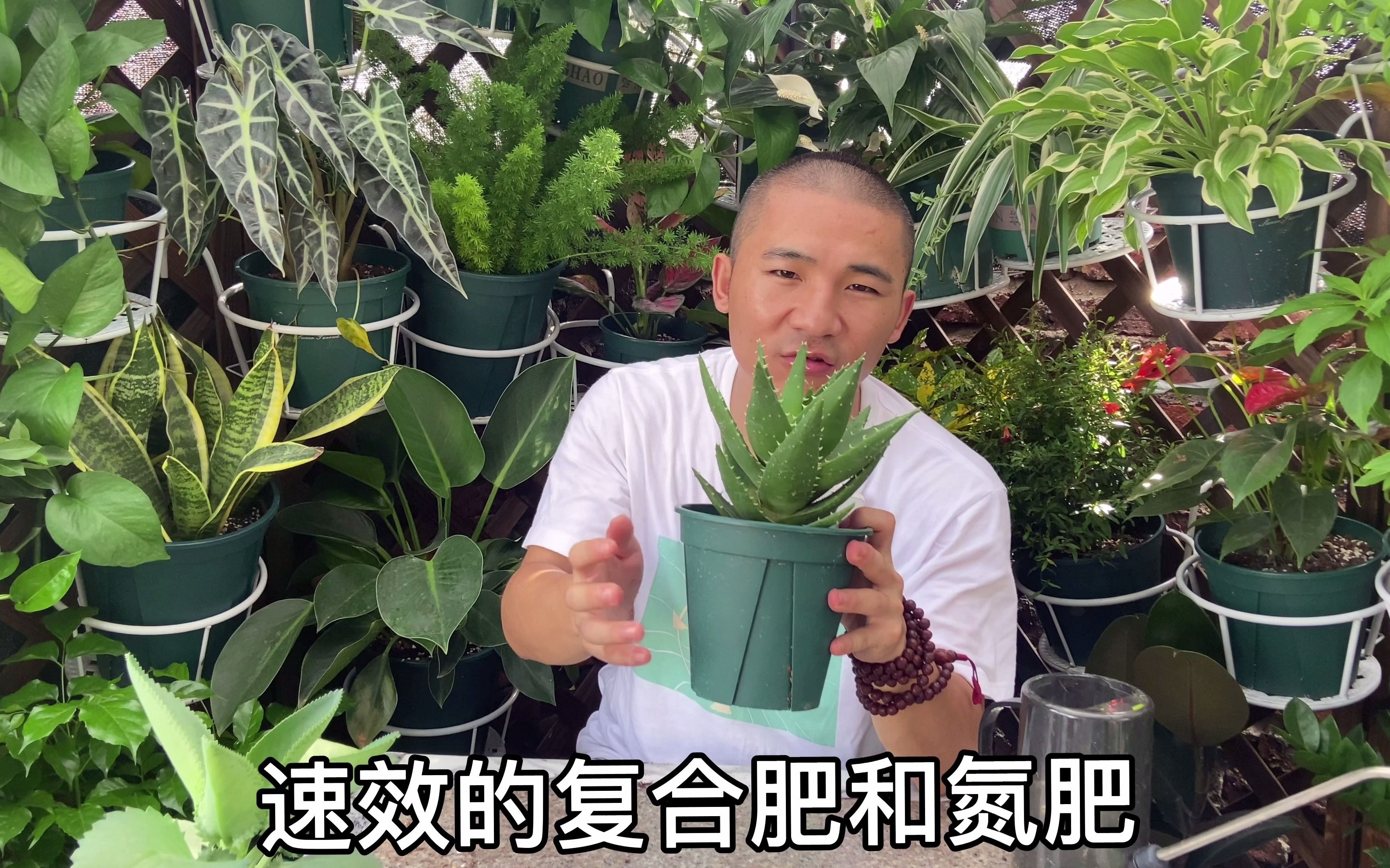 芦荟植物水的功效(芦荟水：美肤神器，滋润保湿，舒缓肌肤)