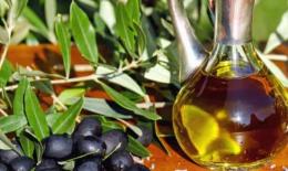 为什么橄榄油对乳房按摩增大有好处？