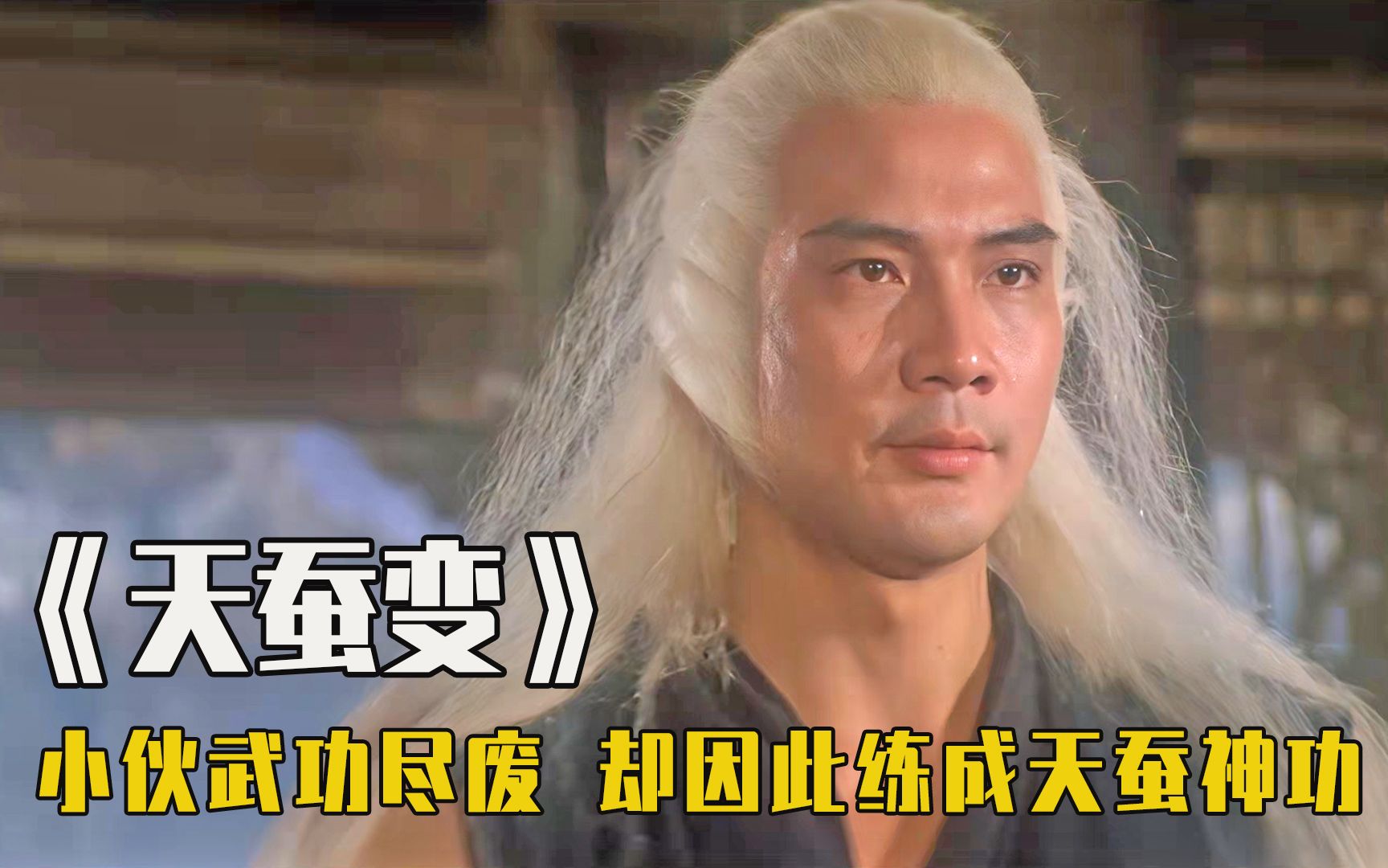 天蚕片功效与作用(天蚕片：神奇的中药，功效与作用解析)