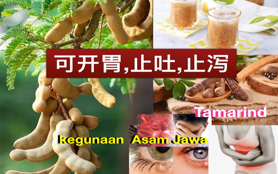 白前的功效和作用(白前功效大揭秘，祛湿化痰，清热解毒)