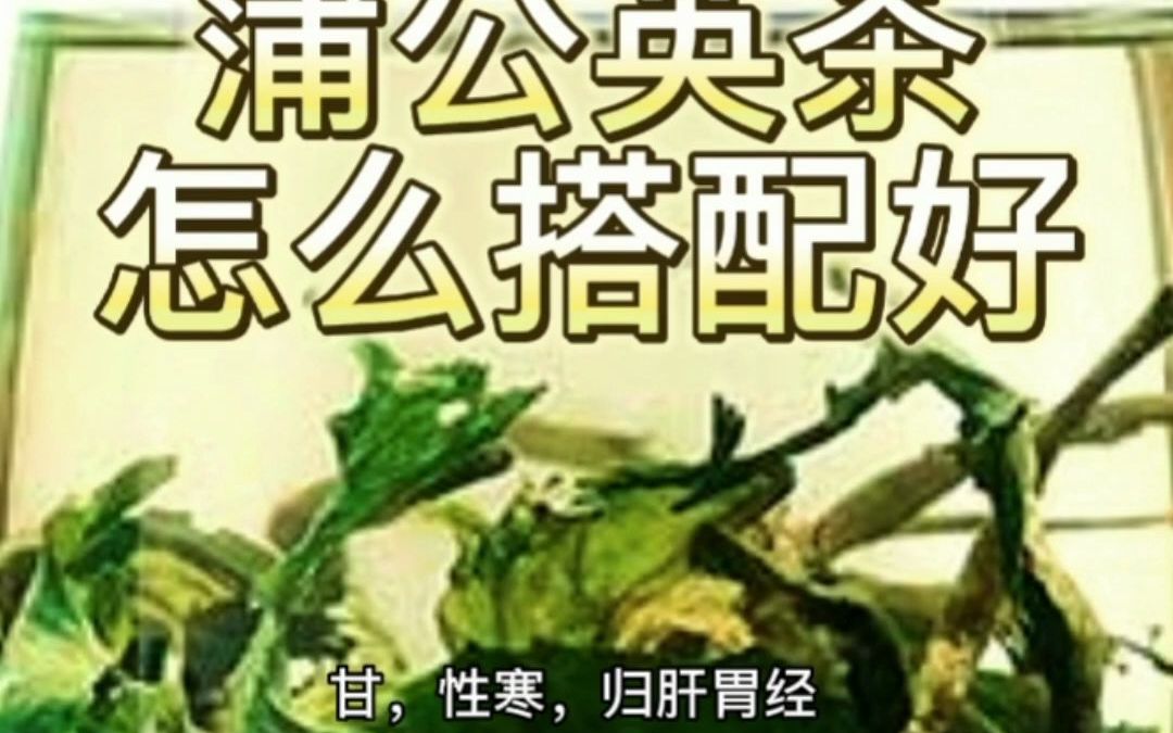 蒲公英加红枣的功效(蒲公英红枣茶——清肝明目，滋补养生)