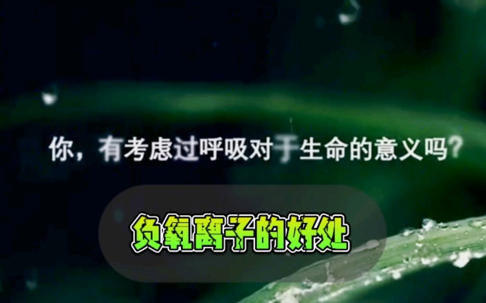 负氧离子的功效(负离子空气净化器：让你的家更健康)