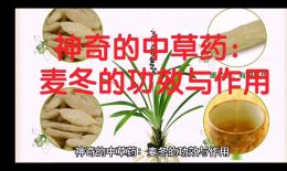 吊马墩草药功效(强肝解毒，美肤养颜，吊马墩草药的神奇功效) ...
