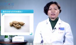 姜不辣功效作用(姜不辣功效大揭秘，让你吃出健康与美味)
