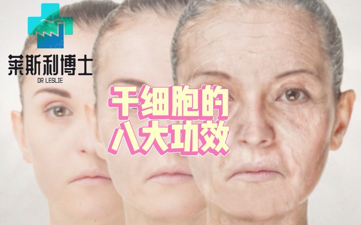 功能和功效的区别("功能与功效的区别，如何选择最适合的产品？") ...