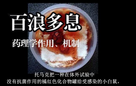 桔红果功效与作用(桔红果：美容养颜，降脂减肥，清热解毒)