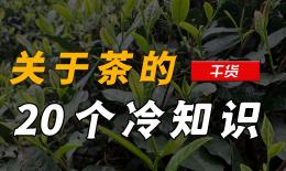肾金茶功效作用(肾金茶：滋补肾脏，提高免疫力)
