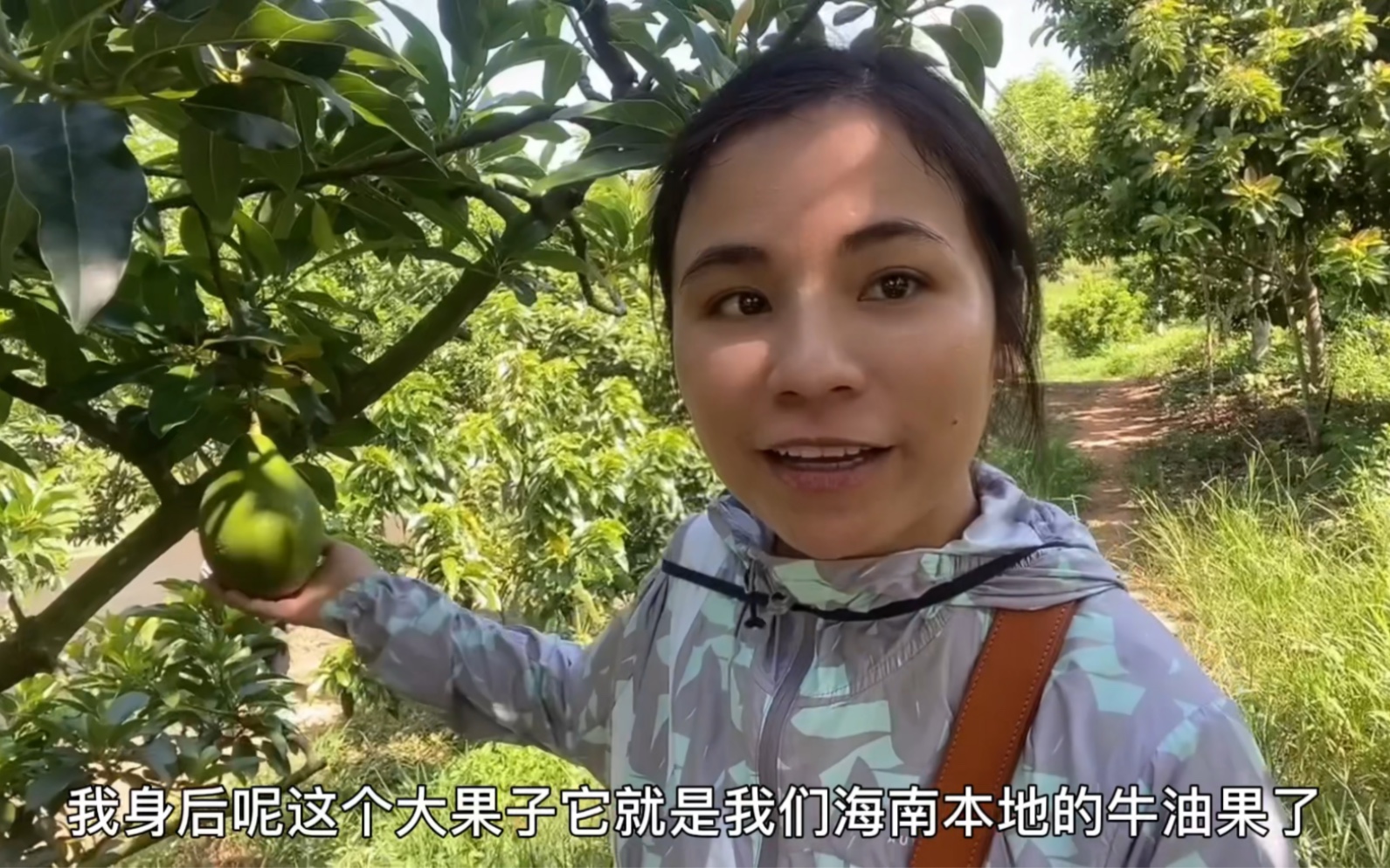 油梨果的功效(油梨果的功效大揭秘，让你健康美丽)