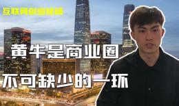 黄牛木叶的功效(黄牛木叶功效大揭秘，助你轻松养生)