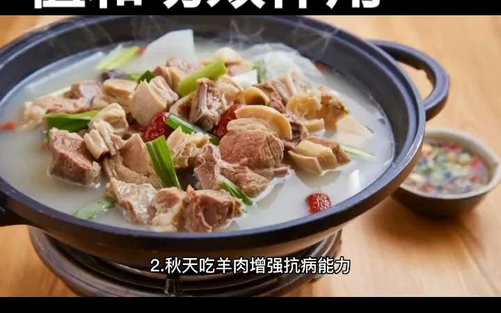 羊肉功效和营养(羊肉的营养价值及功效 - 优秀的中文SEO标题)