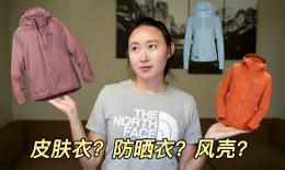 风票壳功效(风票壳：缓解风寒咳嗽，提高免疫力)