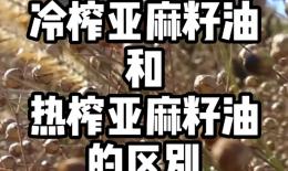 冷榨亚麻籽油的功效与作用(冷榨亚麻籽油：提高免疫力，改善心血管健康) ...