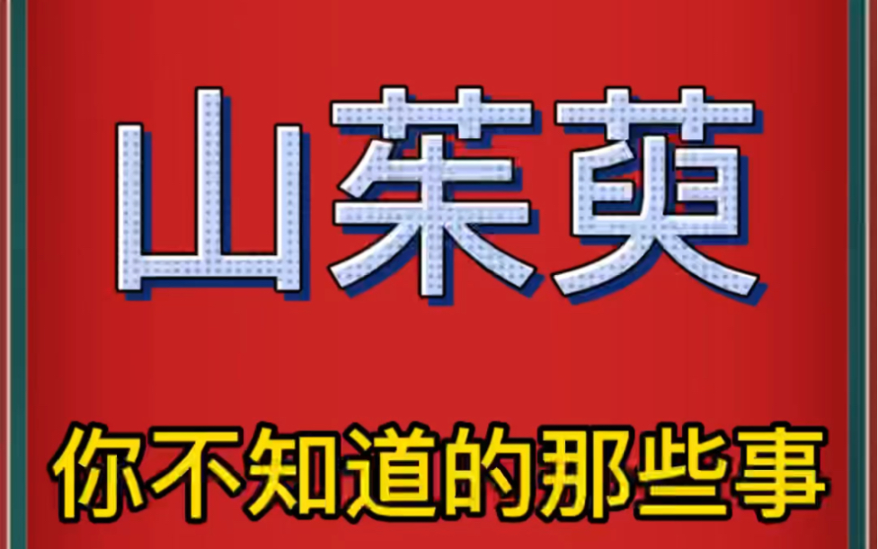 山芋肉的功效与作用及禁忌(山芋肉的功效与作用及禁忌，助您健康饮食) ...