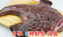 回鱼的营养价值及功效(回鱼的营养价值与功效)