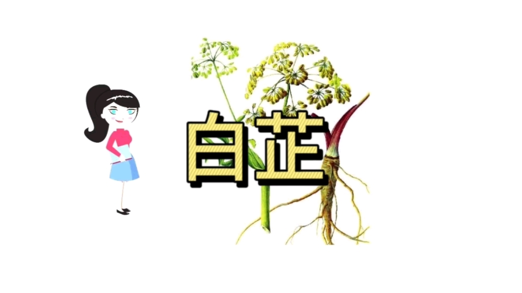 五倍子和白芷的功效(五倍子与白芷：双倍功效，祛湿止痛)