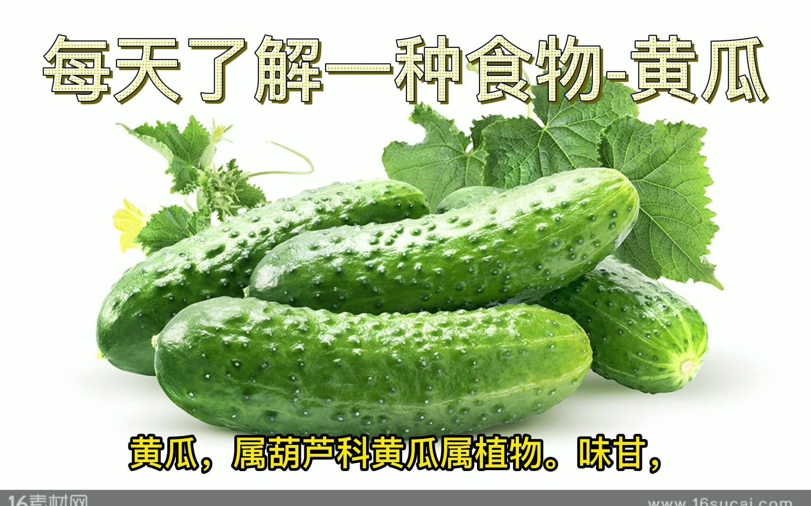 老黄瓜皮的功效与作用(老黄瓜皮的神奇功效，美容养颜，抗氧化) ...