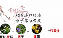 双黄连素作用与功效(双黄连素：抗菌、抗病毒、抗炎症的全能药物) ...