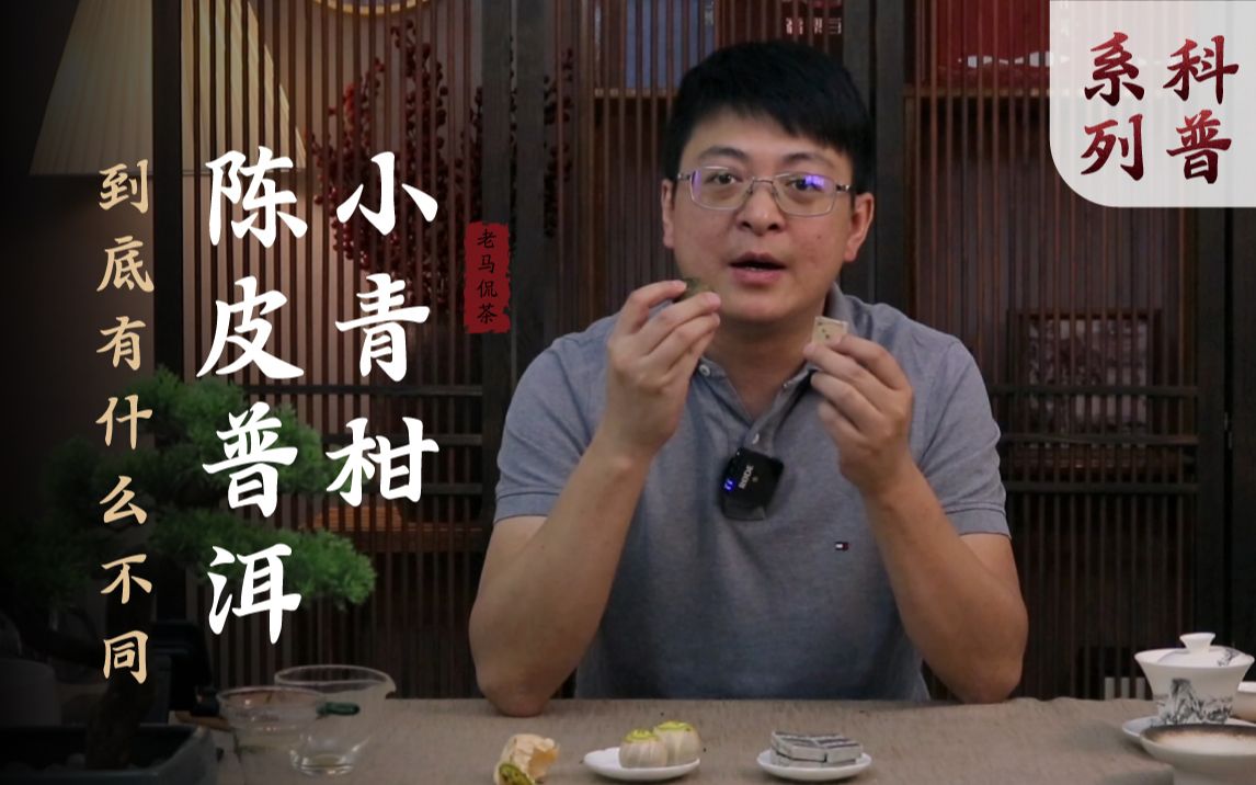 小青柑普洱的功效与作用(小青柑普洱茶：美容养颜，降脂减肥，清肝明目) ...