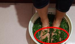 韭菜泡脚的功效与作用(韭菜泡脚的好处：祛湿排毒，缓解疲劳) ...