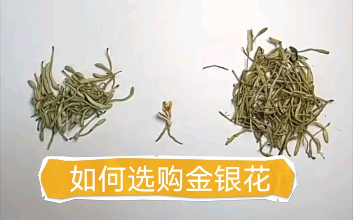 中草药金银花的功效(金银花功效大揭秘，解决感冒发热不是问题) ...