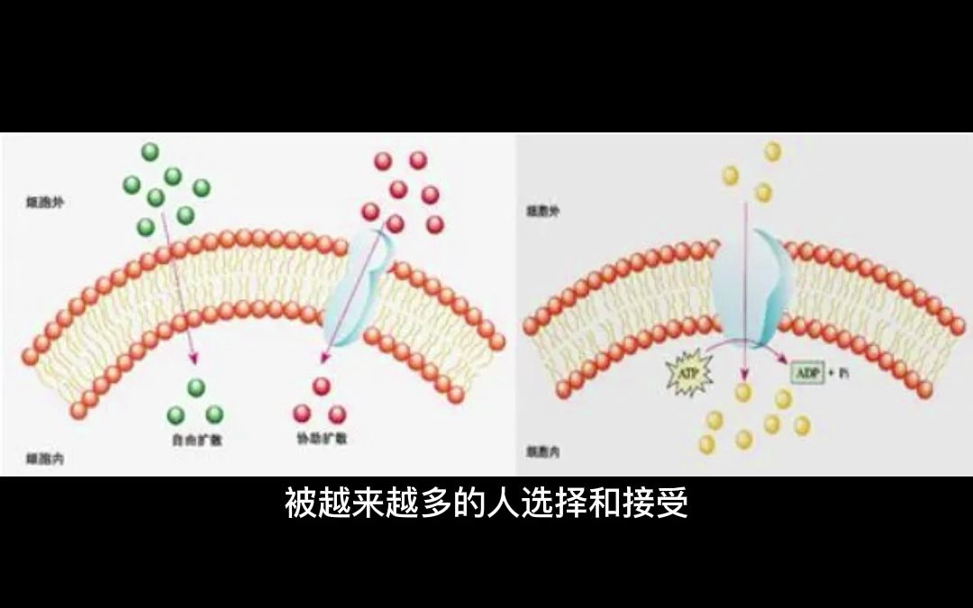 无限极胶原蛋白的功效(无限极胶原蛋白：美肌护肤，提升健康) ...