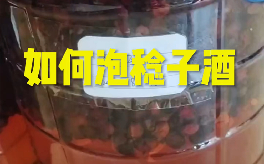 稔子泡酒的功效与作用(稔子泡酒：传统酿造，功效显著)