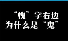 冬槐草的功效与作用(冬槐草：抗氧化、降血糖、美容养颜的神奇功效) ...