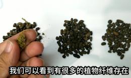 老鼠屎的功效与作用(老鼠屎的神奇功效，让你惊叹)