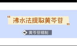 黄芩苷的功效与作用(黄芩苷：抗炎镇痛，护肝抗氧化，美容养颜) ...