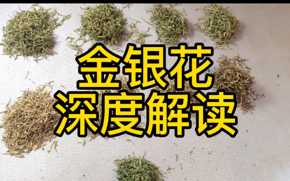 枇杷金银花含片功效(枇杷金银花含片：清热解毒，止咳化痰)